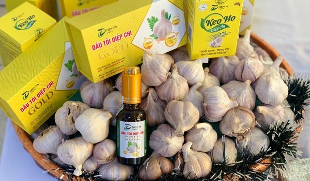 Tỏi tên khoa học là Allium sativum Linn, thuộc họ hành, có nguồn gốc ở Trung châu Á và được gây trồng ở nhiều nước ôn đới.