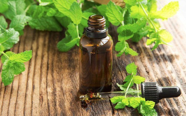 1. Giảm đau căng đầu và đau nửa đầu