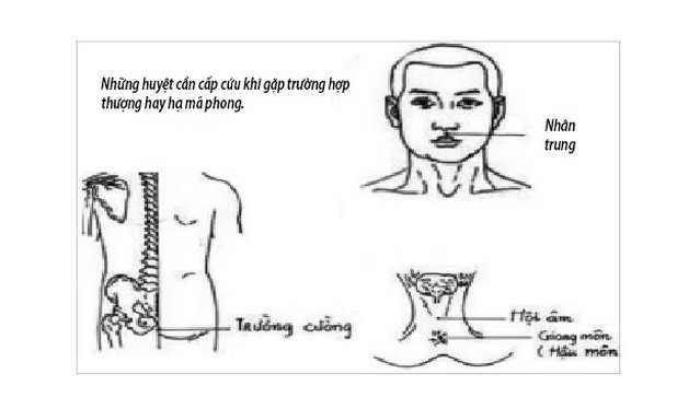 Chứng thượng mã phong do đâu?