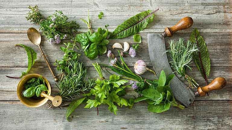 1. Ưu, nhược điểm của hỗ trợ chữa viêm dạ dày bằng thuốc nam