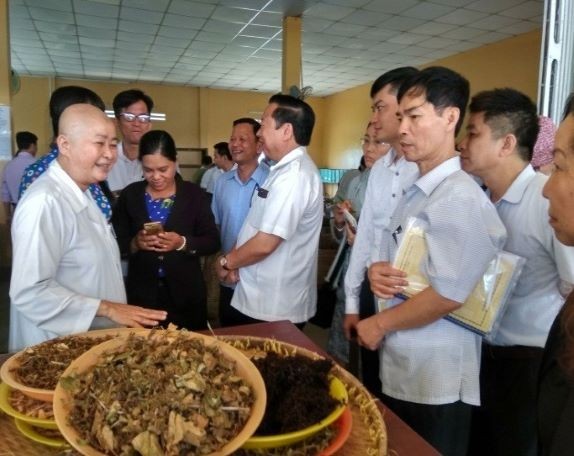 Những việc làm mới lạ và kỳ diệu tại chùa Phước An