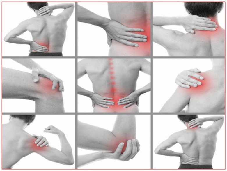 Bạn có thể tìm đọc và lựa chọn cây thuốc phù hợp với điều kiện sống và loại bệnh phù hợp với bản thân có dưới đây.