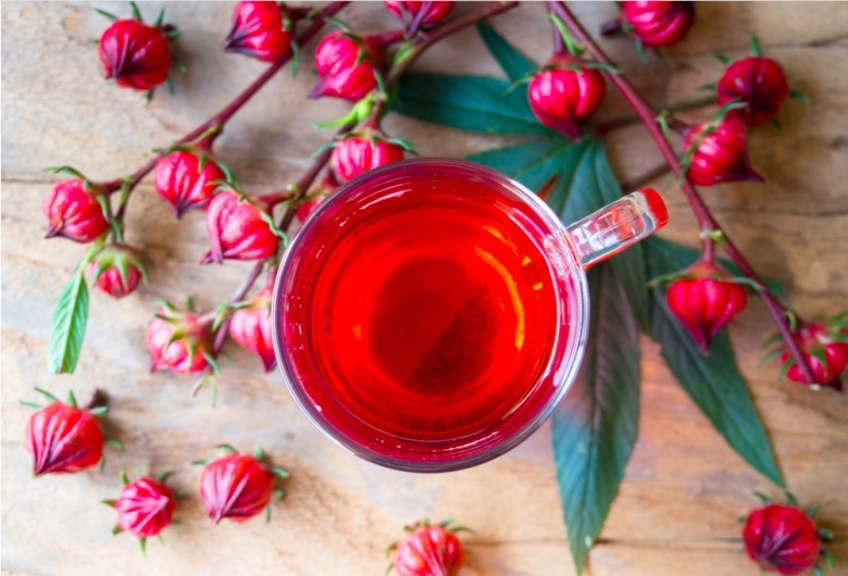Cách pha trà hoa Hibiscus