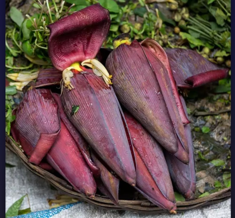 Thành phần dinh dưỡng