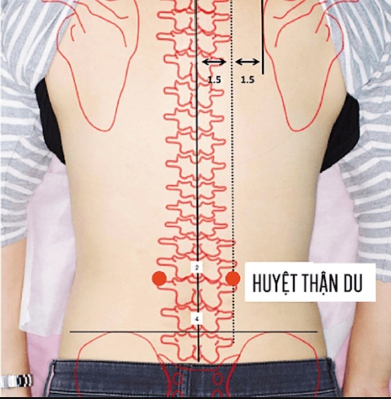 Huyệt thận du