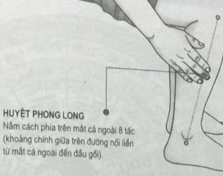 Huyệt Phong long