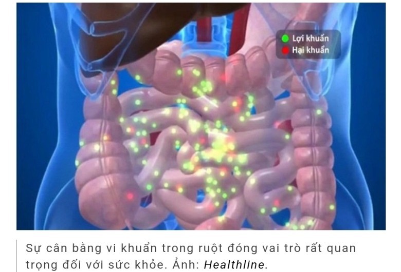MEN VI SINH LÀ GÌ?