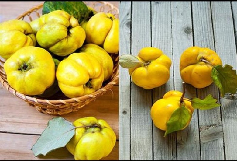 Dưới đây là 11 lợi ích của quả mộc qua.