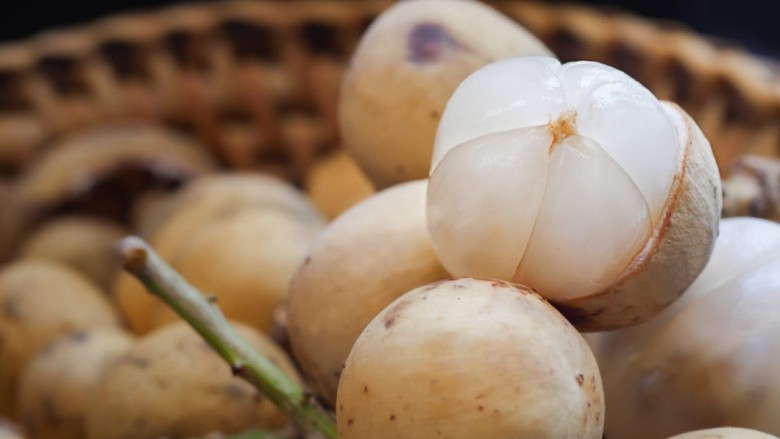 2. Tác dụng của bòn bon đối với sức khỏe