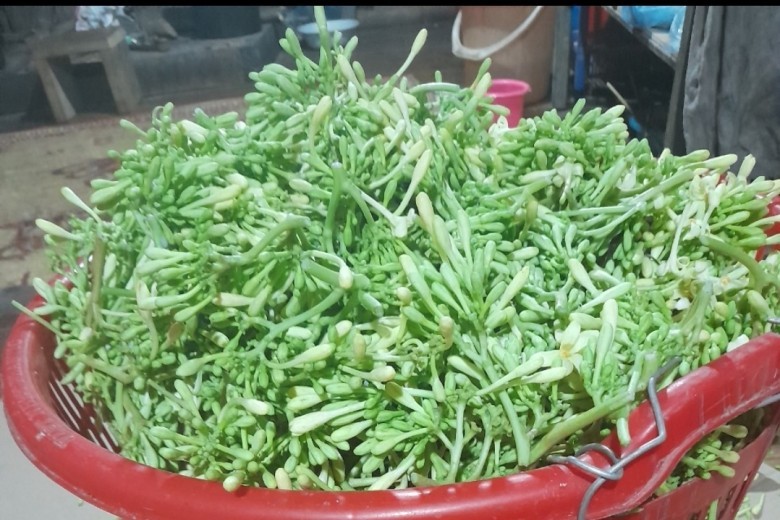 1. Tác dụng của hoa đu đủ đực ngâm mật ong