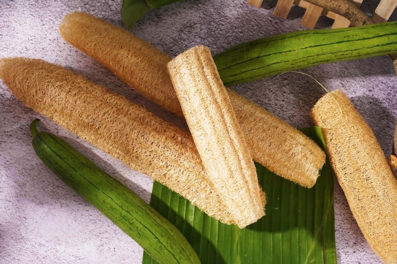 Xơ mướp có tác dụng phụ không?