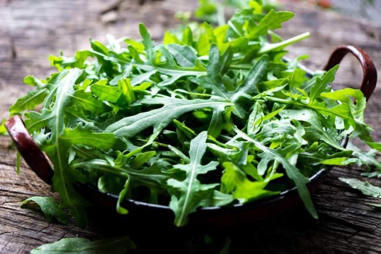 1.5 Bảo vệ gan, thận