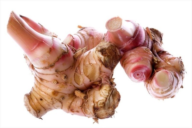 Đặc điểm của cây riềng