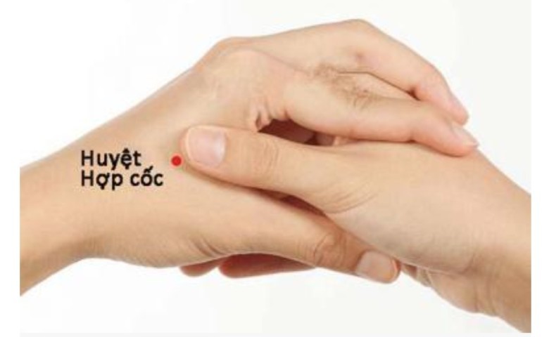 3. Huyệt hợp cốc