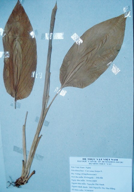 Hoa thức và Hoa đồ: