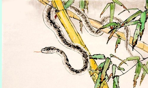 4. Tuổi Tỵ