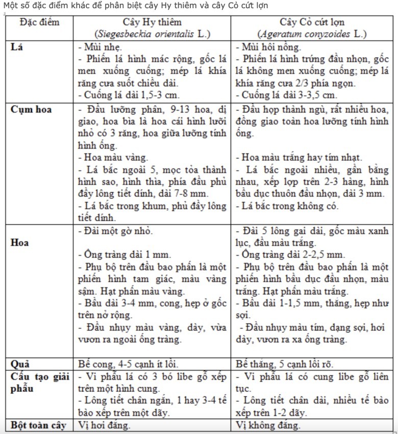 Đặc điểm khác: