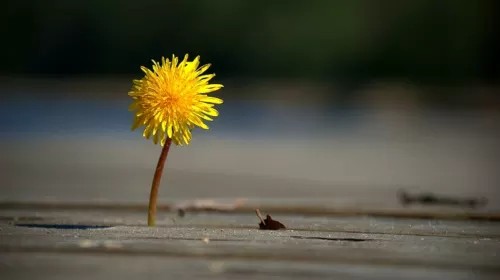 Kết bạn với những người tốt bụng