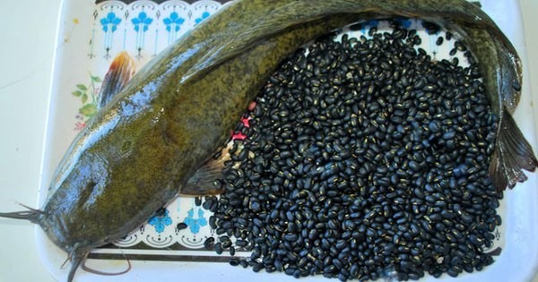 Cháo cá trê, đậu đen