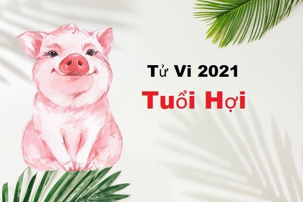 Top 3: Tuổi Hợi