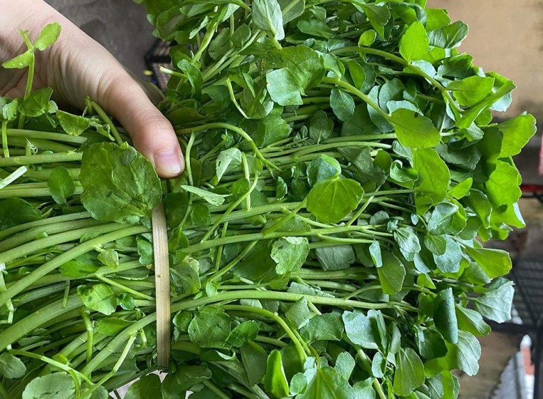 2. Món ăn, bài thuốc từ rau cải xoong