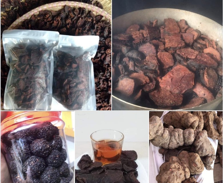 Bài thuốc chữa thận yếu, thận hư ở nam và nữ