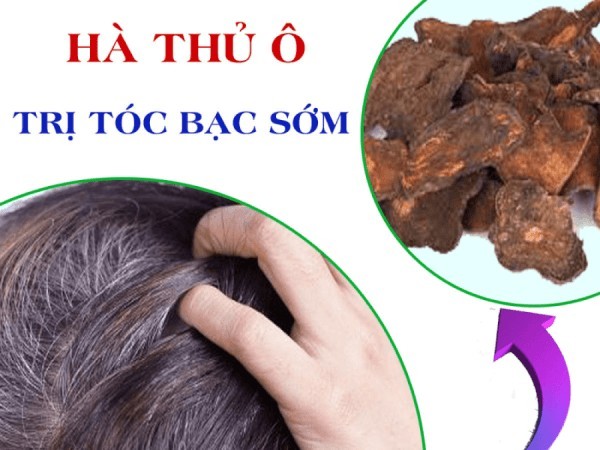 Chữa tóc bạc sớm, mất ngủ, lo âu: