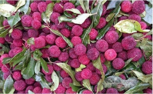Mặt hàng hút khách Á-Âu