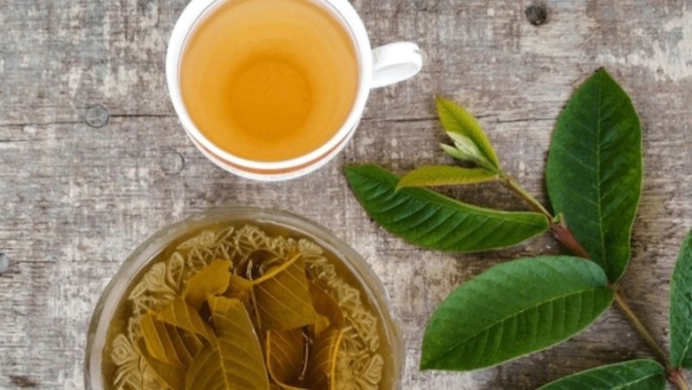 3. Trà lá ổi hỗ trợ điều trị bệnh đái tháo đường