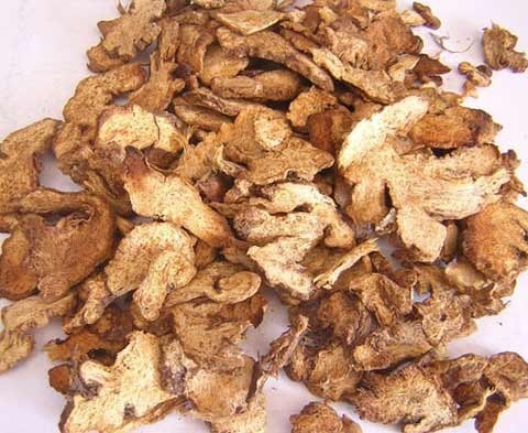 Công dụng và liều dùng của bạch truật