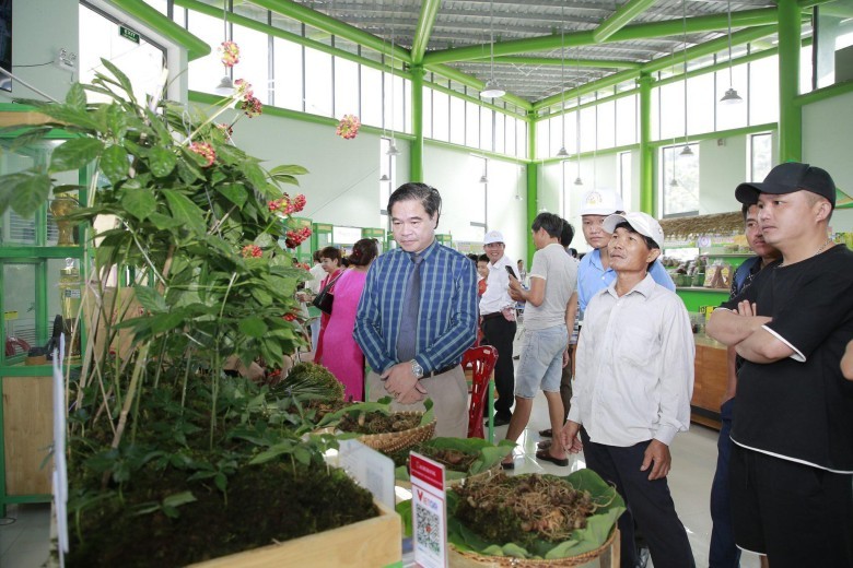 Quản lý bằng mã số vùng trồng để truy xuất nguồn gốc