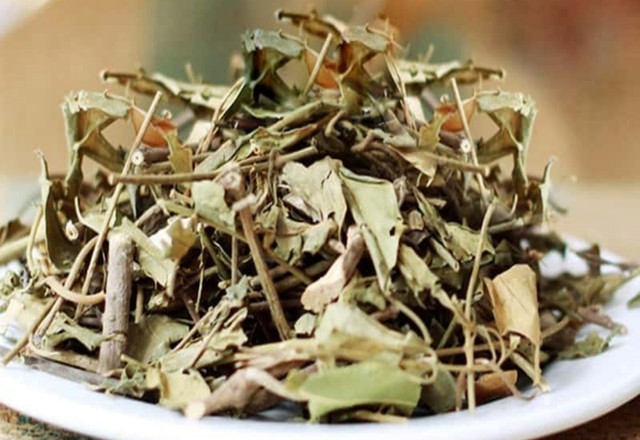 Hỗ trợ điều trị bệnh tiểu đường