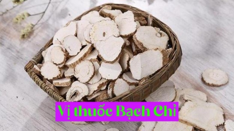 Bạch chỉ giúp làm đẹp da