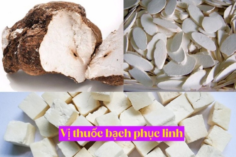 Bạch phục linh