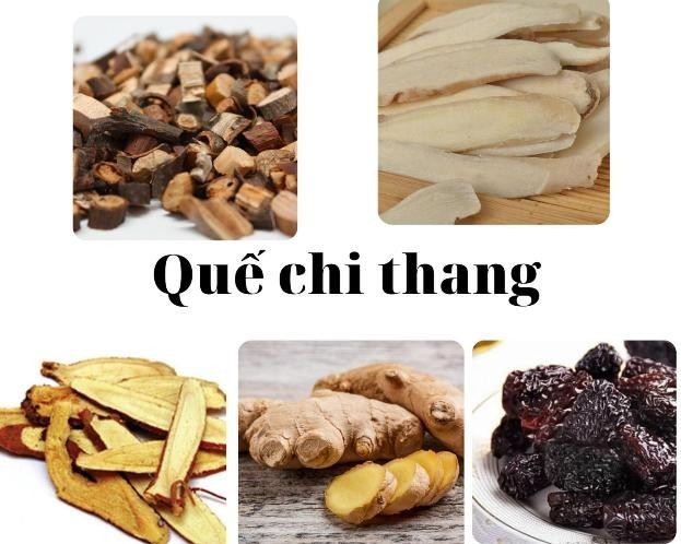 Một số bài thuốc y học cổ truyền trị cảm lạnh