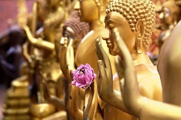 Tác động đối với chính sách kinh tế