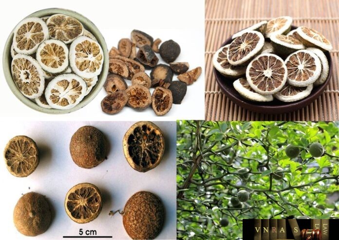 Đặc điểm của vị thuốc chỉ thực