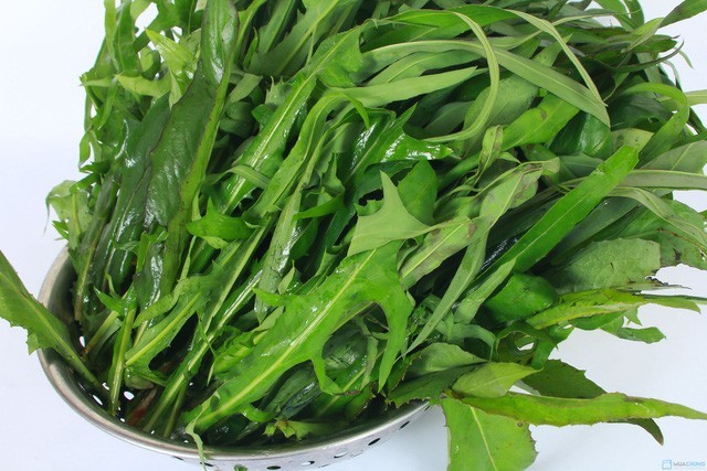 Công dụng và liều dùng