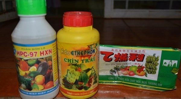 Thực phẩm chứa hóa chất: Nguy hiểm khó lường với hoạt chất ép chín trái cây
