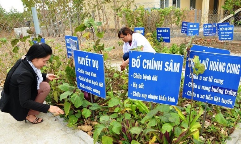 Giới thiệu