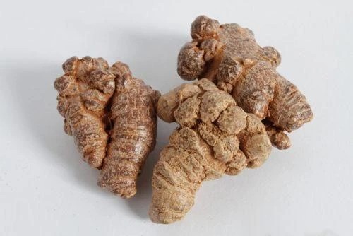 2. Nơi Mua Tam Thất Chất Lượng