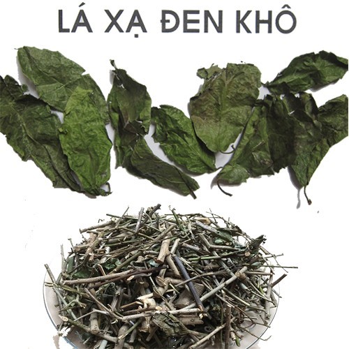 Lợi Ích Của Cây Xạ Đen