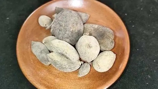 NGŨ BỘI TỬ ( Galla Rhi Chinesis)