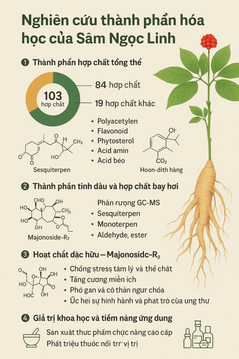 Nghiên cứu thành phần hóa học của Sâm Ngọc Linh