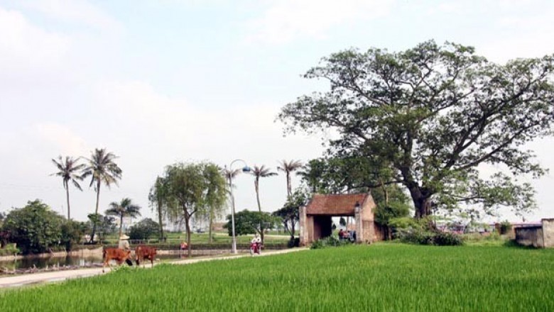 Đến làng cổ Đường Lâm ăn gì ngon