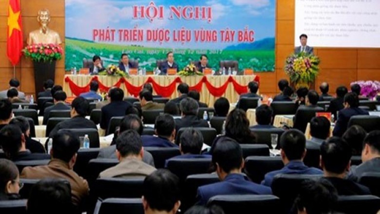 Phát triển dược liệu vùng Tây Bắc, Việt Nam