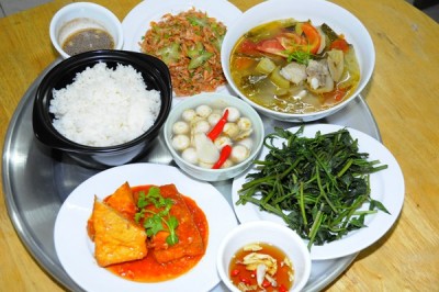 Viện Dinh dưỡng Hoa Kỳ công bố kết quả về chế độ ăn chay