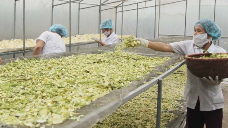 Đề xuất 3 danh mục dược liệu phải đăng ký lưu hành ở Việt Nam