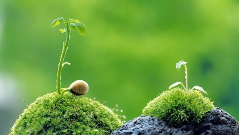 16 câu nói giúp cuộc đời thêm tươi sáng