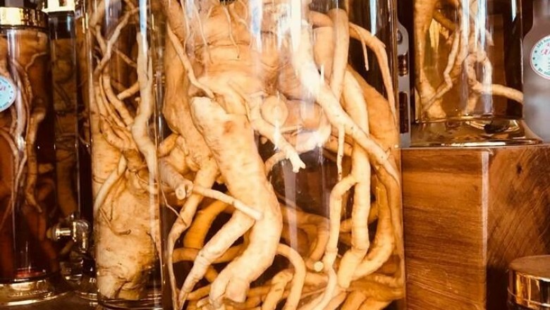 Rượu đinh lăng, Rễ đinh lăng chế biến thế nào thì tốt?